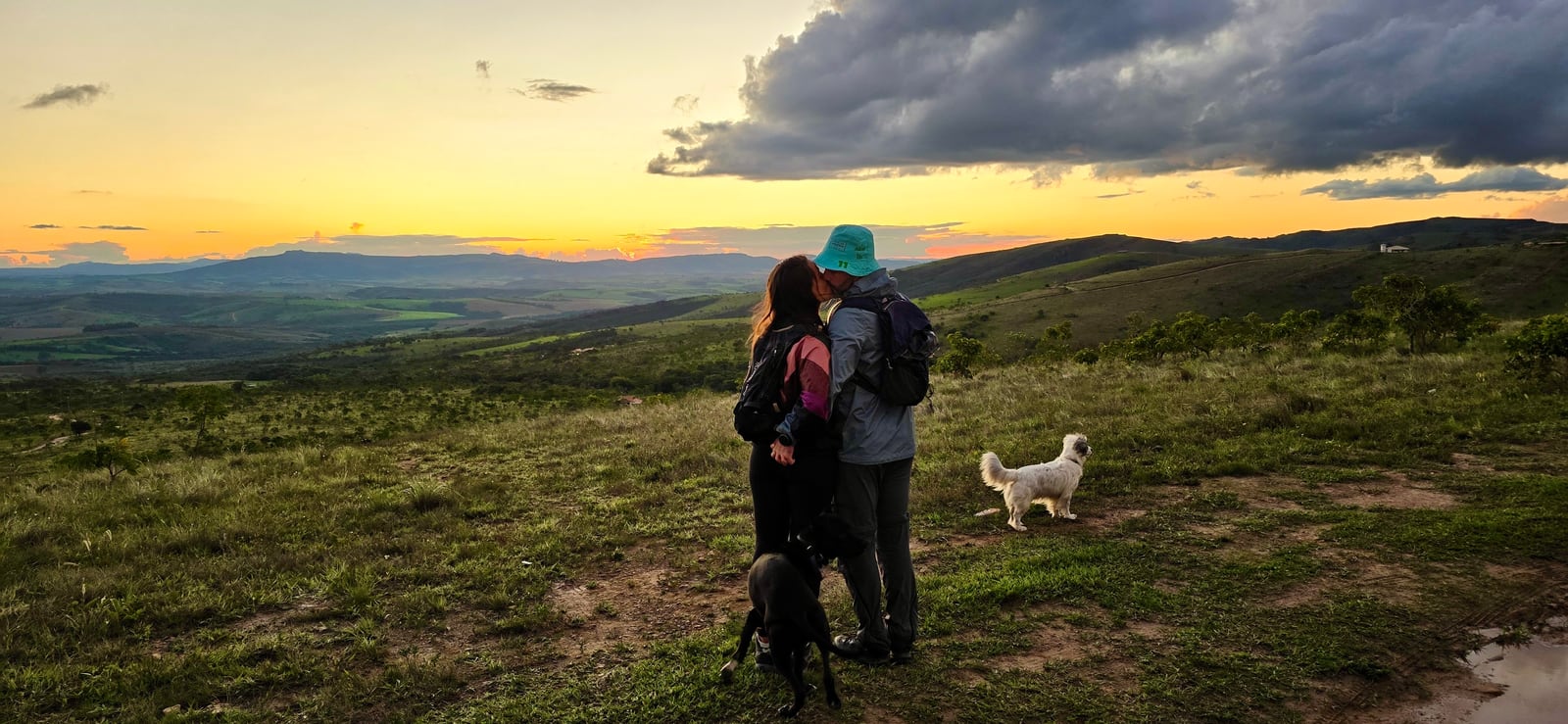 Thaíssa e Julián abraçados no alto de um campo ao pôr do sol, com os dois cachorros em volta